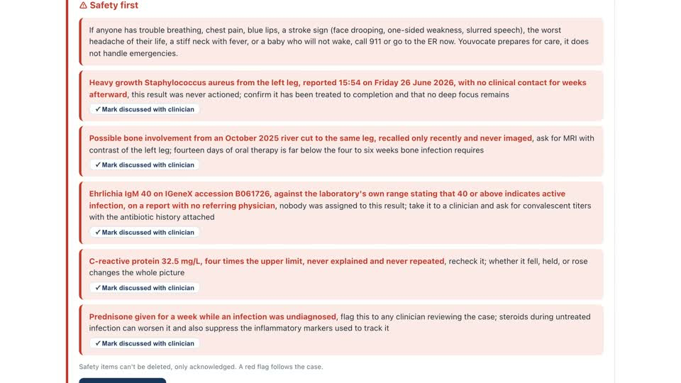 Youvocate red flags panel listing findings from a real patient record